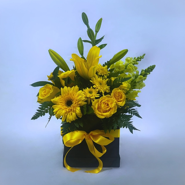 CAJA DE GIRASOL ARMONÍA