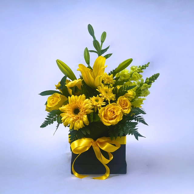 CAJA DE GIRASOL ARMONÍA