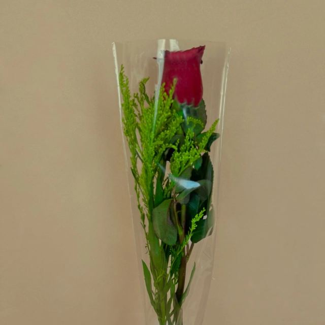 Rosa Invididual con Follaje