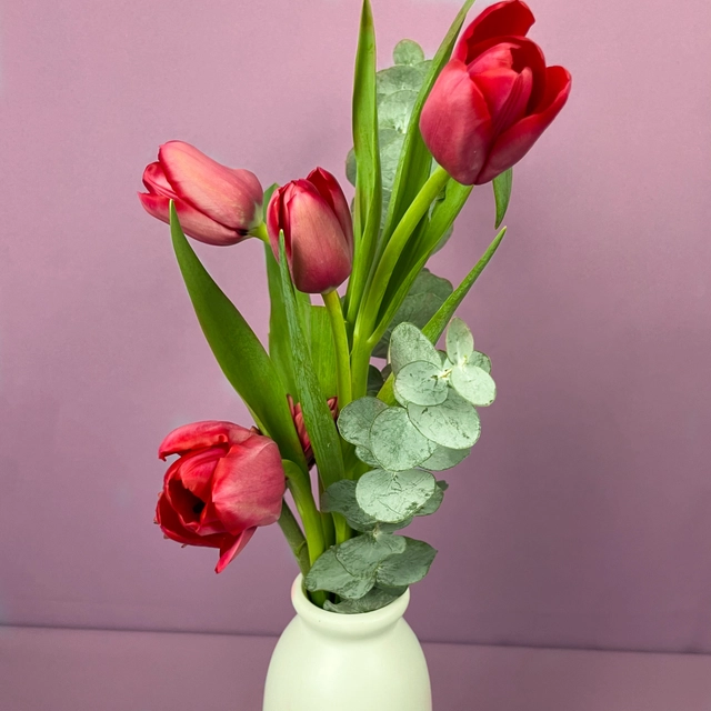 Jarrón Armonia con 4 Tulipanes y Gerbera