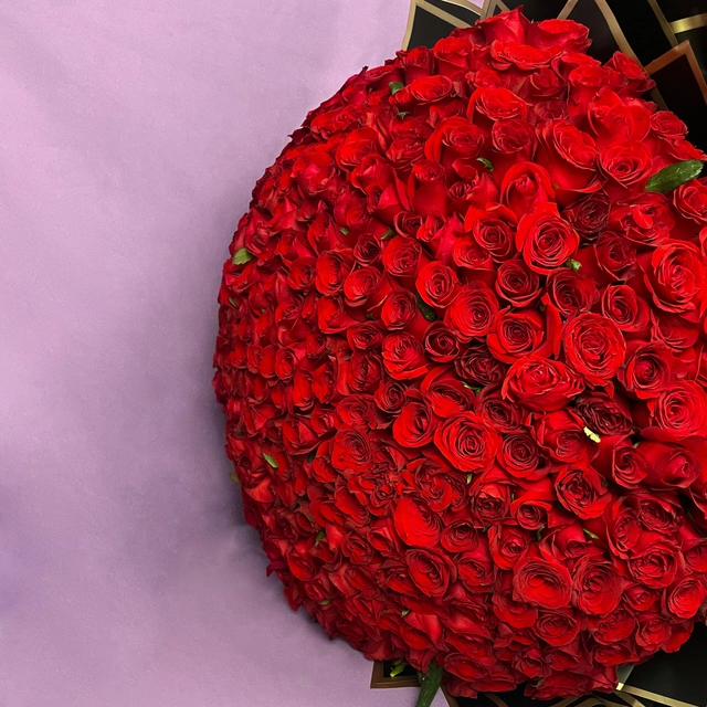 Ramo de 500 Rosas