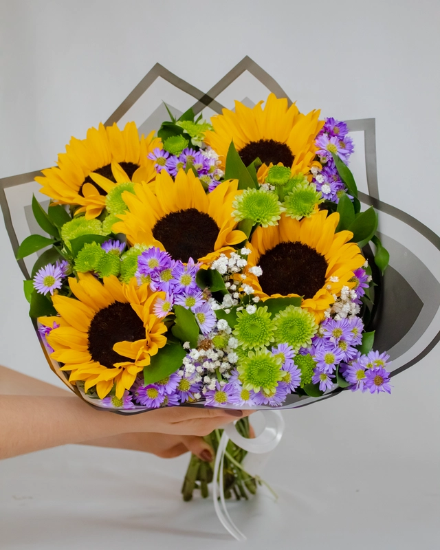 Ramo Girasoles, Montecasino y Yoko