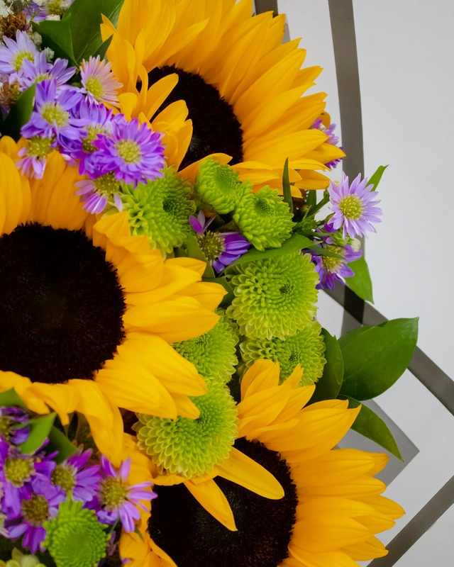 Ramo Girasoles, Montecasino y Yoko