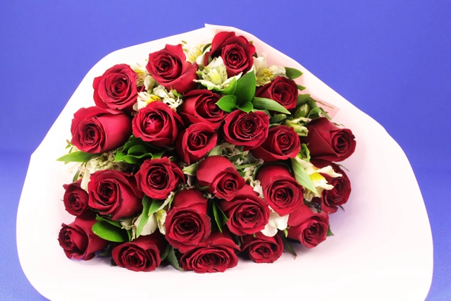 Bouquet-24 Rosas Rojas