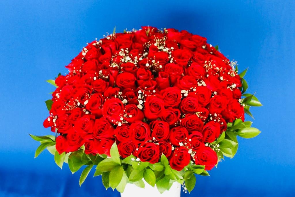 100 Rosas En Cilindro De Ceramica