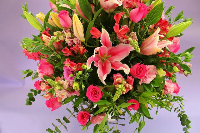 Copa Con Rosas, Stargazer Y Follajes