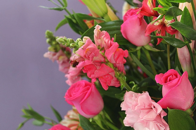 Copa Con Rosas, Stargazer Y Follajes