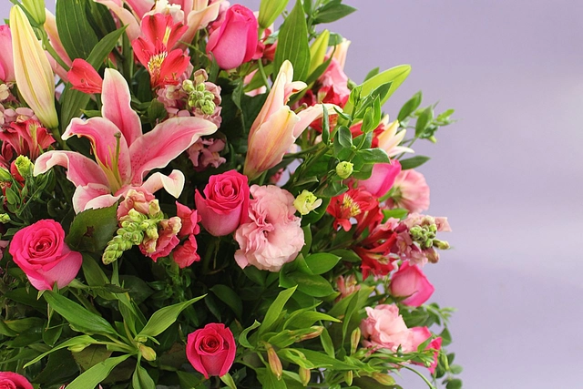 Copa Con Rosas, Stargazer Y Follajes