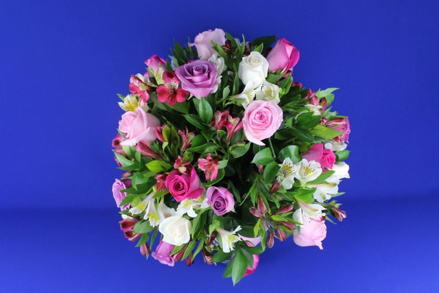 Jarron Jr. con 24 Rosas, Alstromerias y Follaje