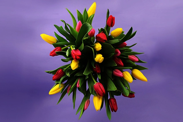 30 Tulipanes Combinados en Jarrón