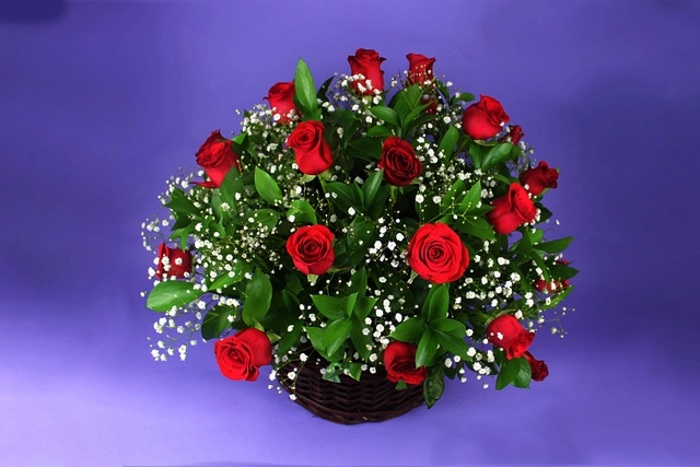 Canasta 24 Rosas, Ruscus y Gypsophilia