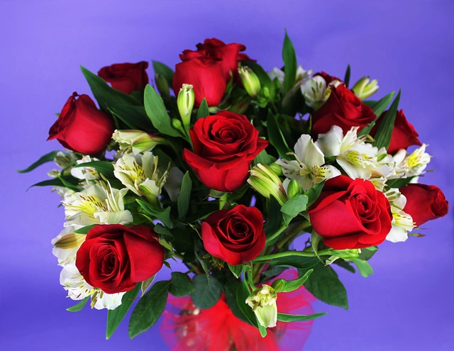 Florero con 14 Rosas Rojas y Alstroemeria