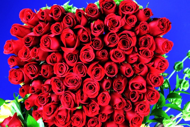 Canasta con Corazón 75 Rosas