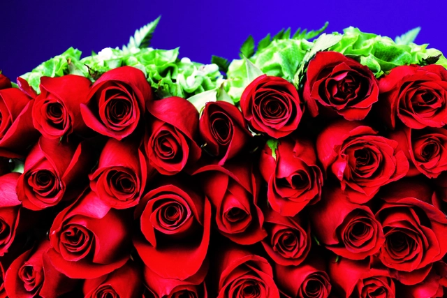 Canasta con Corazón 75 Rosas