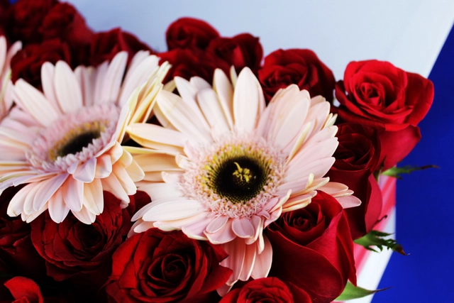 Caja con 30 Rosas más Gerbera