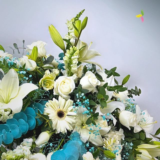 CUBRECAJAS ESPERANZA