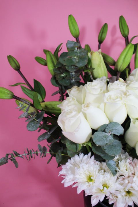 Fúnebre con Lilis y Rosa Blanca