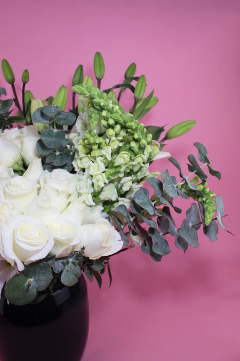 Fúnebre con Lilis y Rosa Blanca