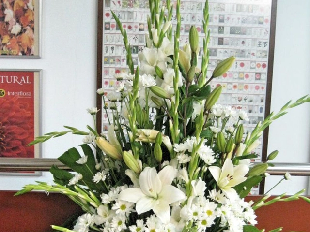 Lateral con Casablanca y Margaritas