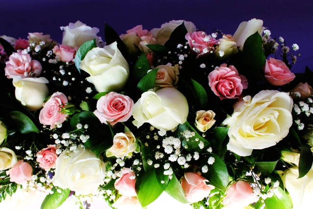 Cubre cajas con Perrito