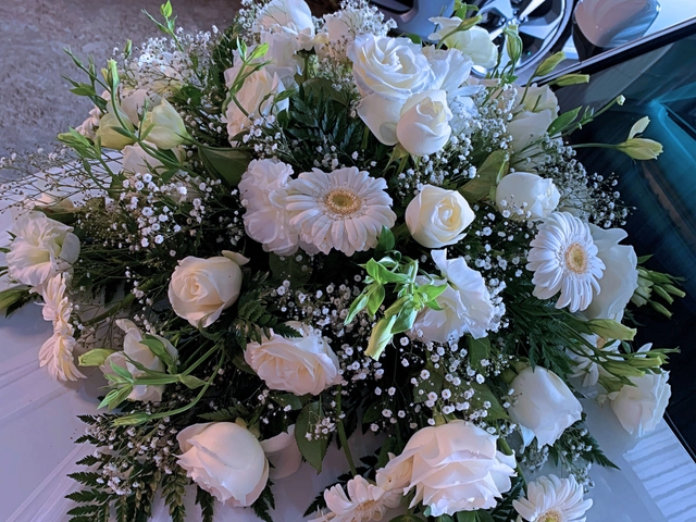 Paquete Arreglo para Auto