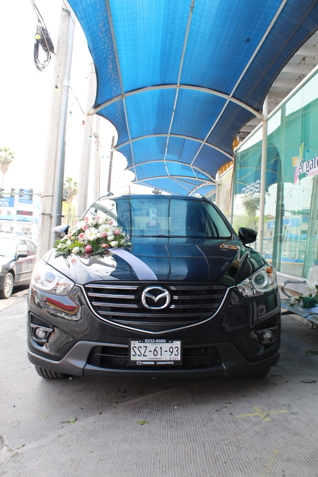 Paquete de Arreglo para Auto