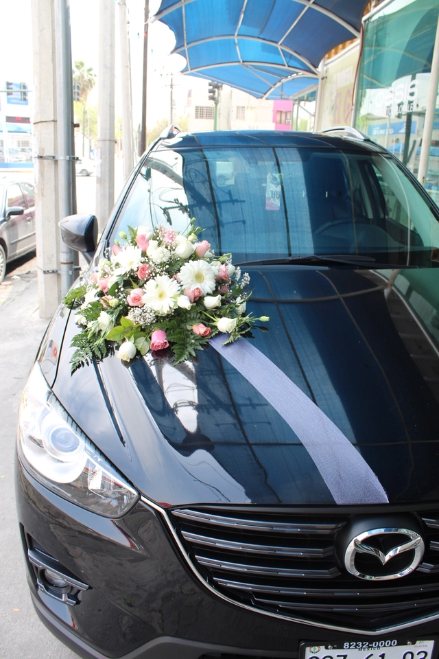 Paquete de Arreglo para Auto