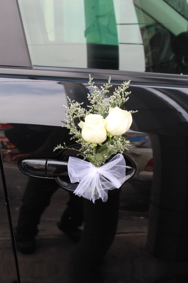 Paquete de Arreglo para Auto