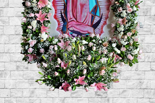 Marco con Lilis y Rosas