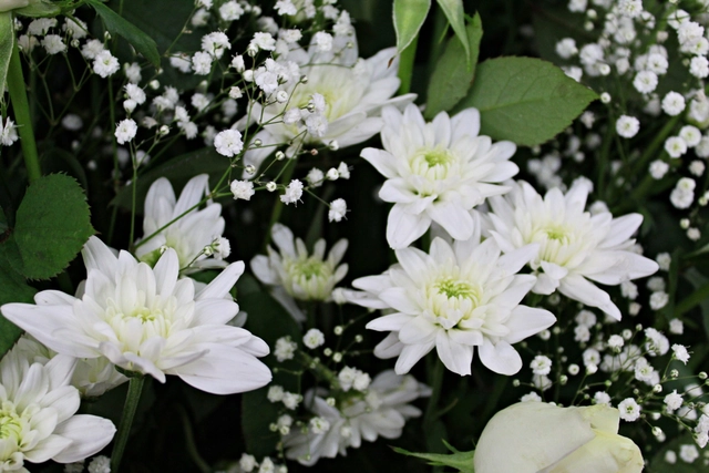 Adorno floral nieve de invierno