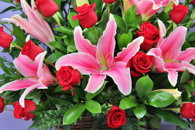 Canasta con 36 Rosas Rojas y Stargazer