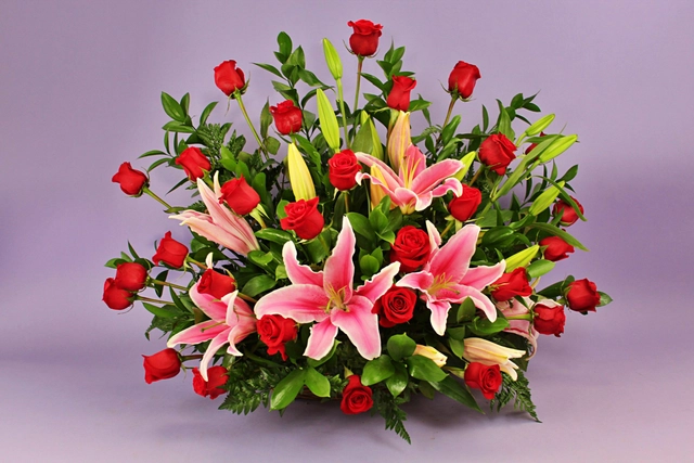 Canasta con 36 Rosas Rojas y Stargazer