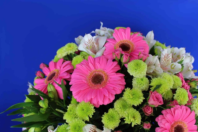 Gerberas en Taza grande de Cerámica