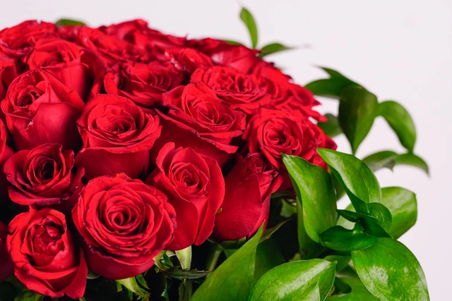 100 Rosas Rojas en Jarrón