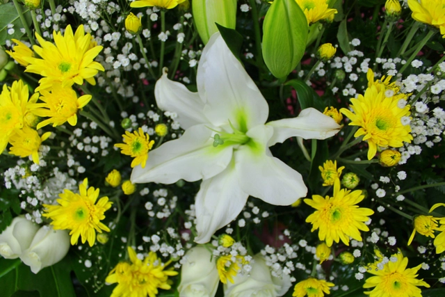 Jardinera con Margarita