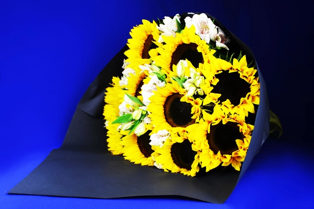 Ramo de 10 Girasoles con alstromeria