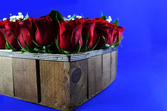 Corazón con 75 Rosas