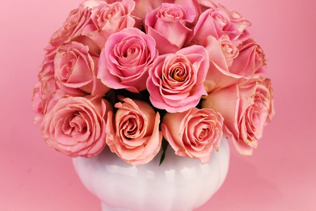 Copa Romana con 36 Rosas