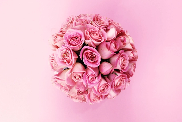 Copa Romana con 36 Rosas