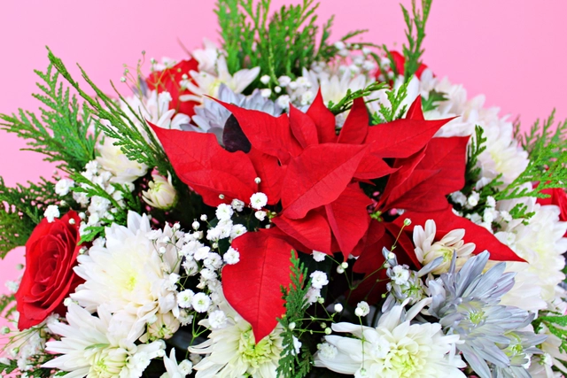 Centro Navideño con Noche Buena