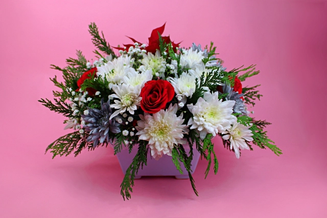 Centro Navideño con Noche Buena