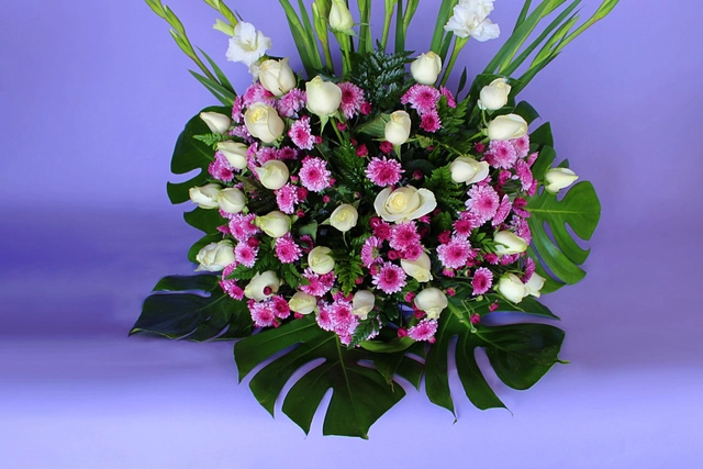 Lateral con Moreliana