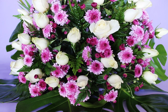 Lateral con Moreliana