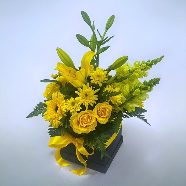 CAJA DE GIRASOL ARMONÍA