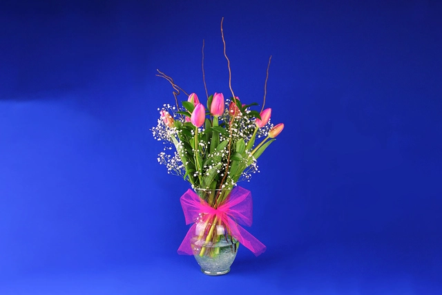 Jarrón con 10 Tulipanes, Curly y Gypsophilia