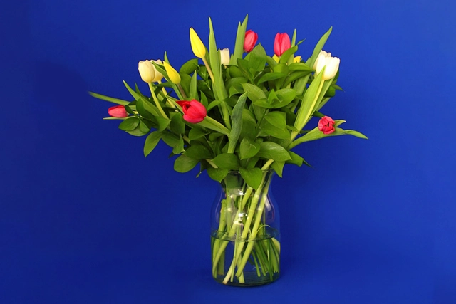 Jarrón de 15 Tulipanes