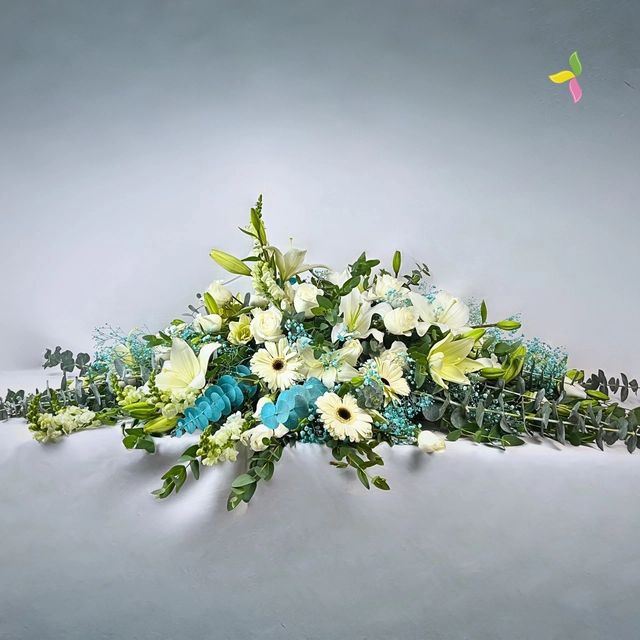 CUBRECAJAS ESPERANZA