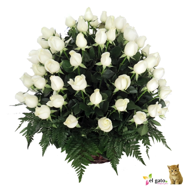 60 rosas blancas en canasta