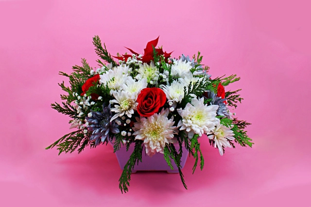 Centro Navideño con Noche Buena